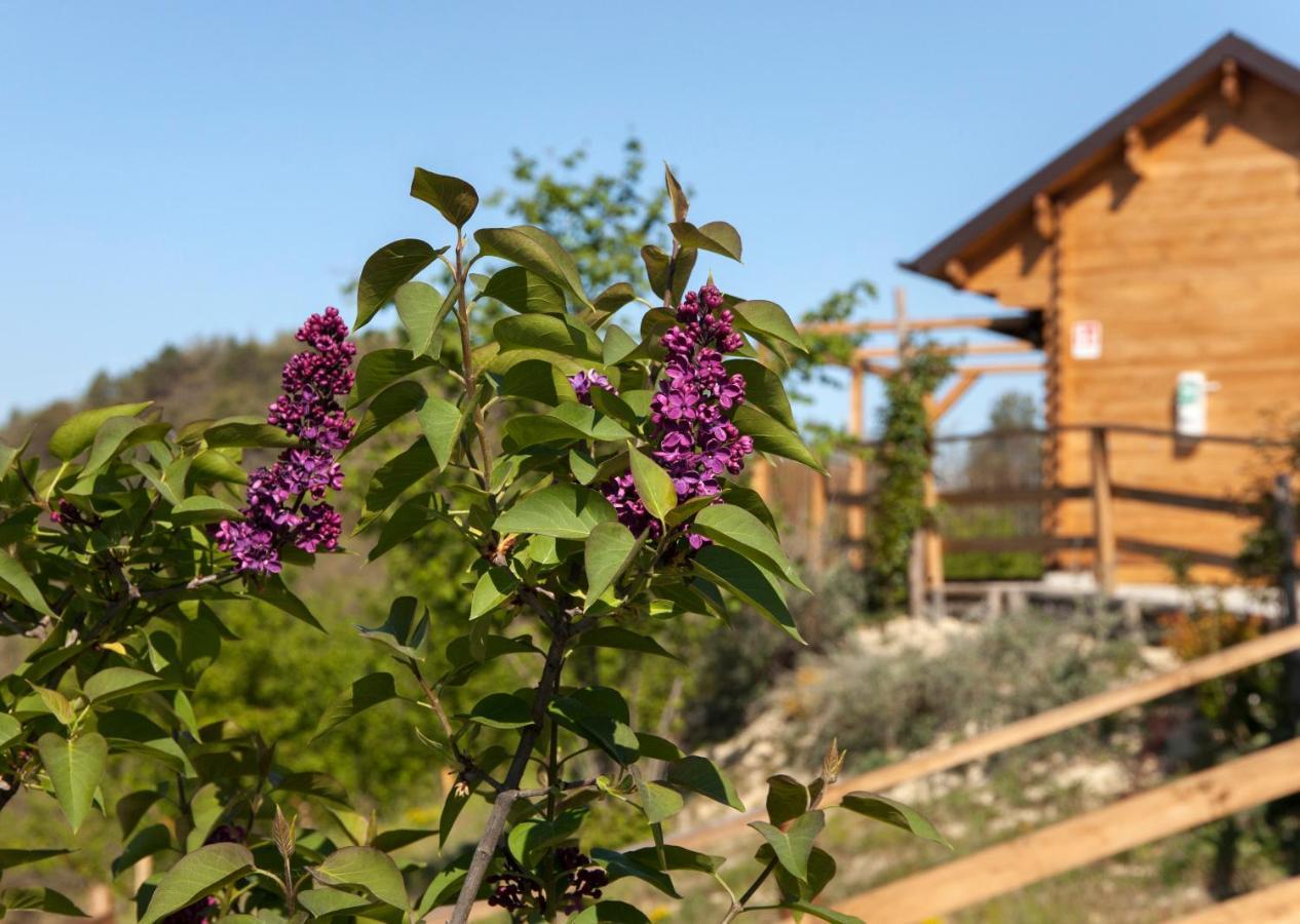 Pian Del Mund Hotell Borgomale Exteriör bild